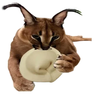 🥟 emoji Такой разный Шлёпа @Karim_i_to4ka и @Akira0992 Telegram sticker 22 of 50