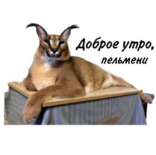 🛏️ emoji Такой разный Шлёпа @Karim_i_to4ka и @Akira0992 Telegram sticker 15 of 50