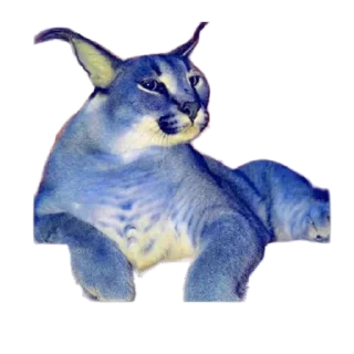 ❔ emoji Такой разный Шлёпа @Karim_i_to4ka и @Akira0992 Telegram sticker 14 of 50