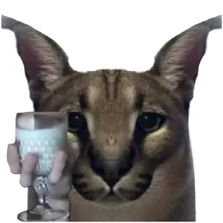 🍸 emoji Такой разный Шлёпа @Karim_i_to4ka и @Akira0992 Telegram sticker 9 of 50