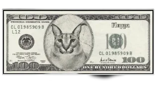 💵 emoji Такой разный Шлёпа @Karim_i_to4ka и @Akira0992 Telegram sticker 10 of 50