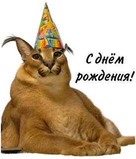 🎂 emoji Такой разный Шлёпа @Karim_i_to4ka и @Akira0992 Telegram sticker 5 of 50