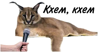🎤 emoji Такой разный Шлёпа @Karim_i_to4ka и @Akira0992 Telegram sticker 20 of 50