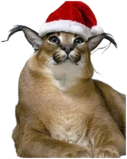 🎄 emoji Такой разный Шлёпа @Karim_i_to4ka и @Akira0992 Telegram sticker 7 of 50