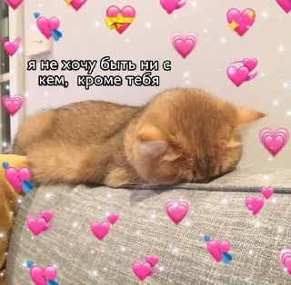 💗 emoji Love Telegram sticker 11 of 65