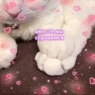 💗 emoji Love Telegram sticker 13 of 65