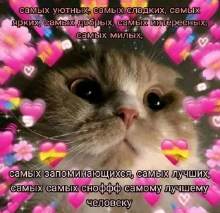 💗 emoji Love Telegram sticker 17 of 65