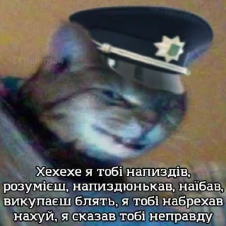😈 emoji укр меми tgk: @leechinys Telegram sticker 12 of 47