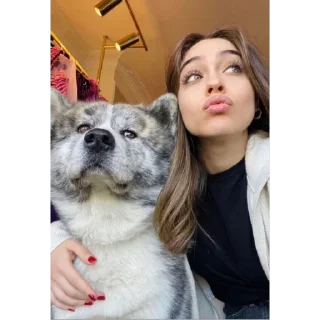 🐶 emoji джемре для цгс Telegram sticker 10 of 62