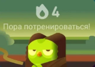 Sticker from Duolingo @sozdat_stikery_bot