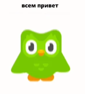 😭 emoji Duolingo @sozdat_stikery_bot Telegram sticker 13 of 28