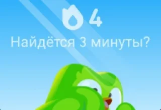 Sticker from Duolingo @sozdat_stikery_bot
