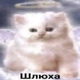 Sticker from Стикер пак от @Velgit_woh