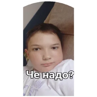🙄 emoji Этот Пак Зделал Лукашенко Telegram sticker 5 of 14