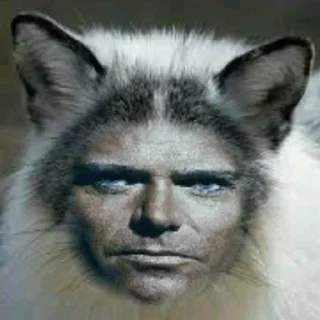 😼 emoji Этот пак делала Аня Telegram sticker 24 of 119
