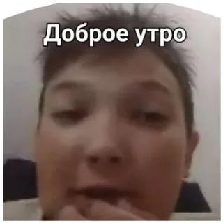 Sticker from Этот Пак Зделал Лукашенко