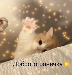 Sticker from Лесная ягодка