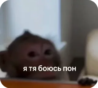 Sticker from Больше стикеров: @sticerru