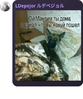 🧎‍♀️ emoji Чат для общения | 𝙼𝙻𝙱𝙱 pack by @QuotLyBot Telegram sticker 20 of 34