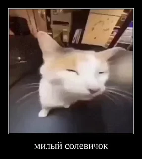 Sticker from Братство Комаров 2.0 @KAMARDK @MoiStikiBot