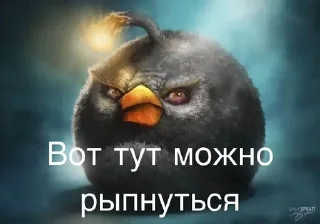 Sticker from Энгри бердз :: @kalban_20