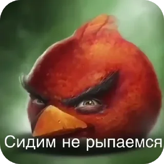 Sticker from Энгри бердз :: @kalban_20