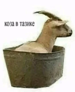 🐐 emoji мемчики Telegram sticker 4 of 120
