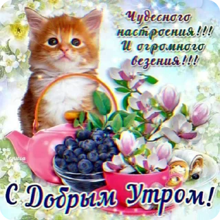 Sticker from Открыточки