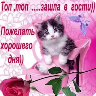 Sticker from Открыточки