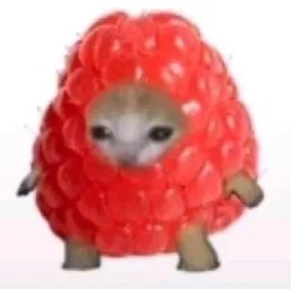 🌟 emoji Котики/cats/ой Telegram sticker 14 of 24