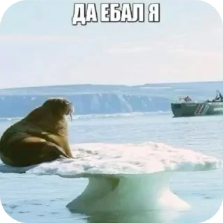 Sticker from Пісець