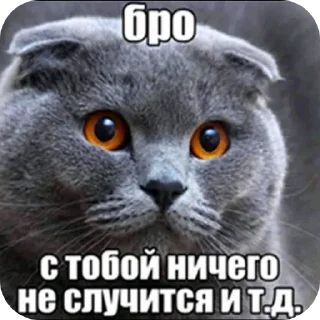 Sticker from Пісець