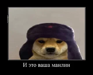 Sticker from Хуита