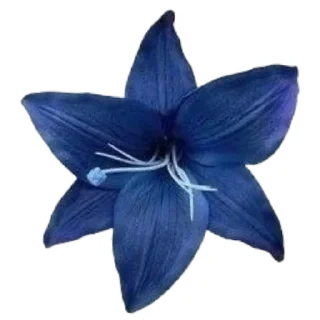 Sticker from BLUE @AngelinkaPremium