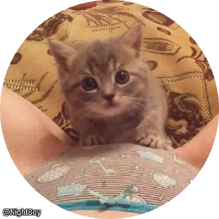 Sticker from *@Stickers