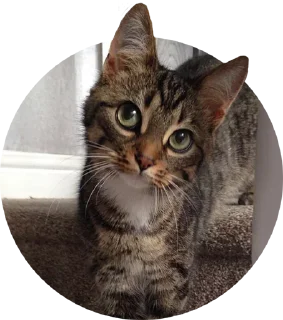Sticker from *@Stickers