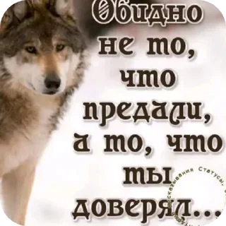 Sticker from Волки🔮🔮 @aayrk