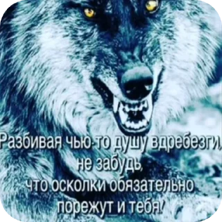 Sticker from Волки🔮🔮 @aayrk