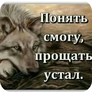 Sticker from Волки🔮🔮 @aayrk