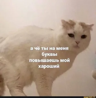 Sticker from 👺Задротусы👺