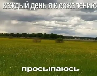 Sticker from мое одиночество пожирает меня.