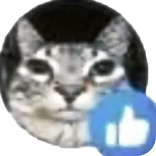 Sticker from Котики и др