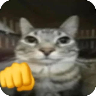 Sticker from Котики и др