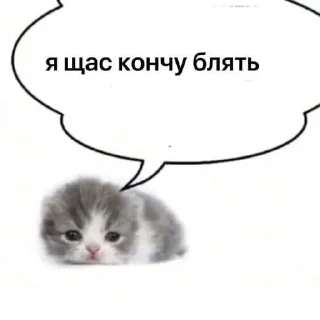 Sticker from шоапзщгркеутзшгпр