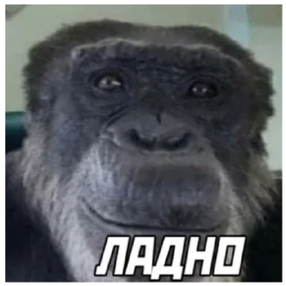 Sticker from Ыыы