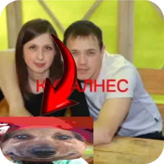 Sticker from ыыы