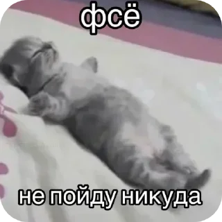 Sticker from Жиза