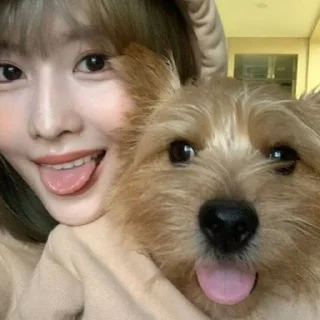 Sticker from MOMO from K-POP PLANET