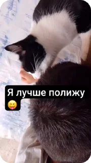 🌟 emoji Мои булочки😍 Telegram sticker 3 of 17