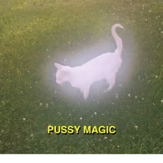 Sticker from пирожки